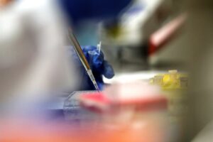Una investigación biomédica abre nuevas vías de tratamiento contra la covid-19
