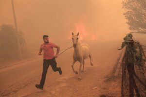 Grecia confirma que 18 inmigrantes han muerto carbonizados cerca de la frontera turca