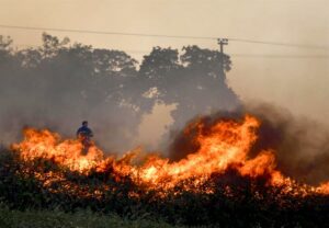 Mueren 27 inmigrantes irregulares en incendios que han arrasado 43.000 hectáreas en Grecia