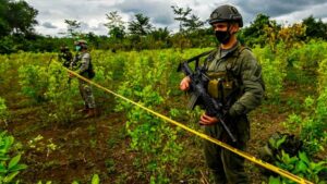 Detienen en Colombia a 11 miembros de una red que envía cocaína en panela para exportación
