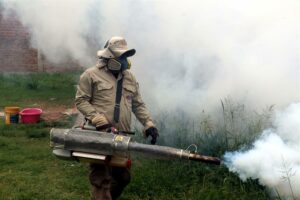 Dominicana atraviesa brote epidémico de dengue, anuncian autoridades sanitarias