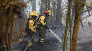 Quito registró 22 incendios forestales en 24 horas