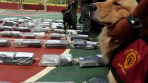 Venezuela e Italia fortalecen cooperación para lucha conjunta contra el tráfico de drogas