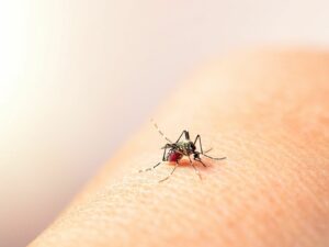 Nicaragua reporta 262 casos confirmados de dengue en una semana y 3.179 sospechosos