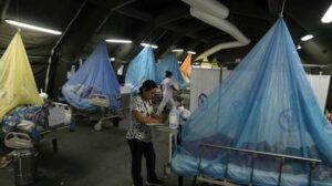 Jamaica declara brote epidémico de dengue