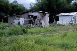 Puerto Rico no usó 1,2 millones para combatir pobreza infantil, según auditoría argentina