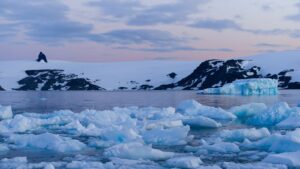 Descubren en Antártica bacterias que descomponen contaminantes para luchar contra el frío