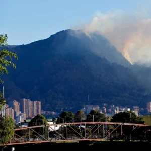Nuevo incendio forestal en Bogotá