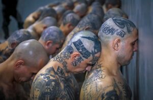 Justicia de El Salvador procesa a 492 líderes de la Mara Salvatrucha por 37.000 delitos