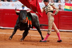Un juez suspende las corridas de toros en dos municipios del estado mexicano de Puebla