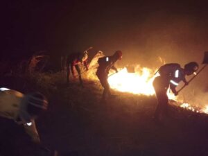 Autoridades detienen a 16 personas por provocar incendios forestales