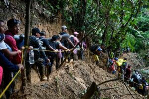 Más 118.000 migrantes irregulares han cruzado la selva del Darién en lo que va de 2024