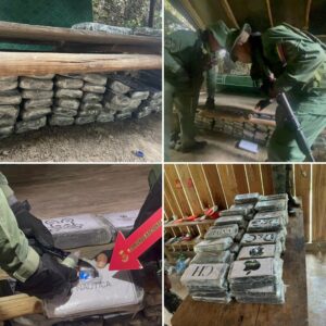 Fuerza Armada destruye estructuras de drogas y minería ilegal