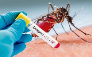 Casos de dengue en Perú superan los 155.000 y Lima concentra más muertes y contagios