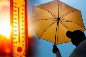 Unas 153.000 muertes anuales en el mundo, entre 1990 y 2019, se asocian a olas de calor