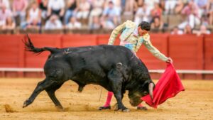 Aprueban en Colombia un proyecto de ley que prohíbe las corridas de toros en todo el país