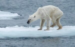 Ritmo de calentamiento global causado por el ser humano está en su punto más alto