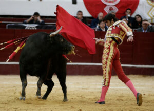 Ley que prohíbe las corridas de toros en Colombia queda lista para sanción presidencial