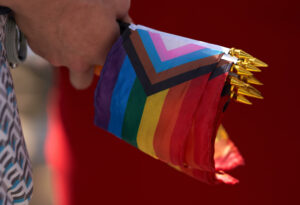 Perú retira la transexualidad y el travestismo de los trastornos mentales