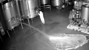 Detenida una mujer sospechosa del vertido intencionado de 60.000 litros de vino caro