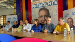 Plataforma Unitaria tendrá participación «de carácter técnico» en simulacro electoral del 30Jun
