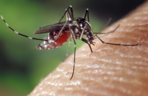 Fallece un cuarto niño en El Salvador a causa del dengue