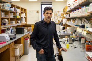 Reconocen dentro del microbioma humano cientos de moléculas como potenciales antibióticos