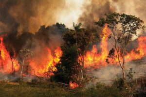 Brasil sospecha que los incendios en la Amazonia y São Paulo son provocados