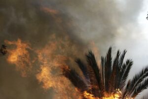 Noboa cancela agenda en Asamblea General de ONU y regresa a Ecuador para atender incendios