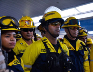 Bomberos venezolanos rescatan 100 especies de fauna silvestre de los incendios forestales en Bolivia