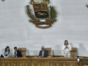 AN difiere debate del Proyecto de Ley Libertador Simón Bolívar
