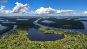 La Cruz Roja lanzó un programa para combatir la crisis climática en la selva del Amazonas