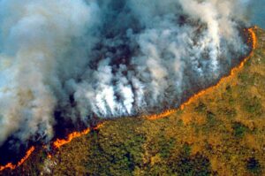 Superficie quemada por incendios en Brasil en 2024 supera el tamaño de Italia