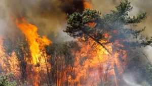 Chile extiende toque de queda por incendios forestales en seis comunas