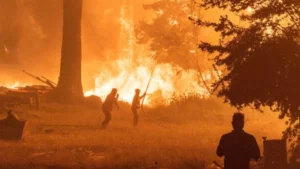 Más de 48 mil hectáreas han sido afectadas por incendios forestales en la Patagonia de Argentina