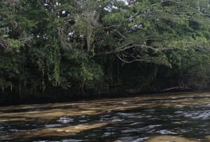 Ecuador declara la emergencia medioambiental por un derrame de crudo