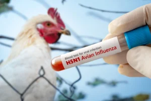 Confirman el primer deceso por gripe aviar en México