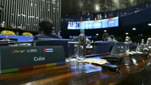 BRICS debate la creación de una Alianza Interparlamentaria para la Salud Mundial