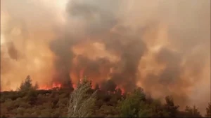50 mil personas fueron evacuadas por incendio forestales en Türkiye