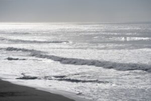 Olas de tsunami alcanzan California